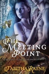 The Meeting Point - A Clockwork Butterfly trilogy Book 3