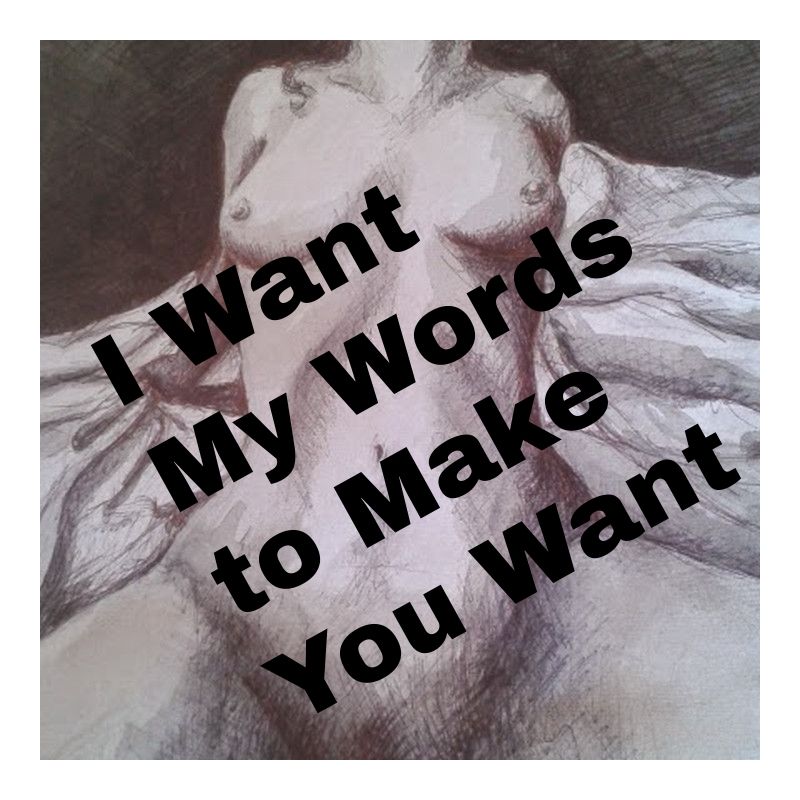 I Want my Words to Make you Want